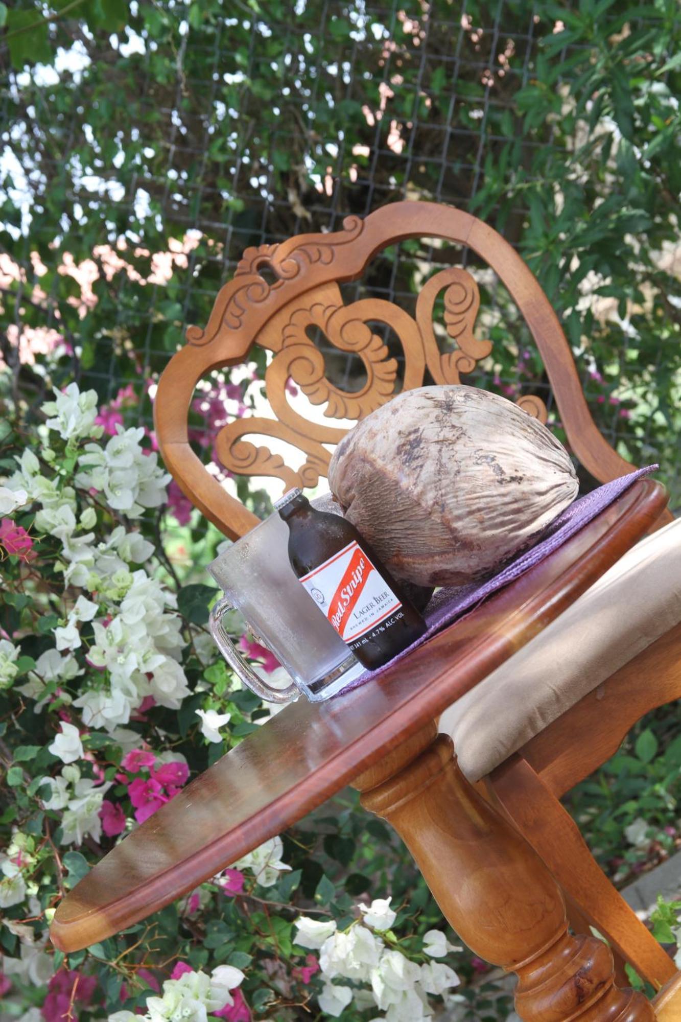 Sweetsop Jamaica Villa And Tours Монтего Бей Екстериор снимка